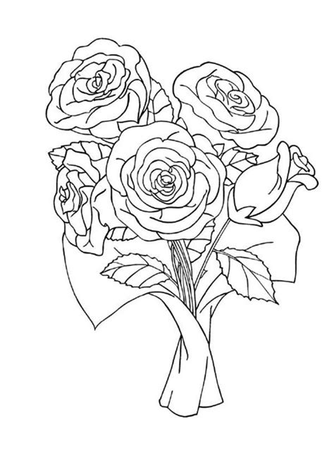red rose coloring  red rose coloring