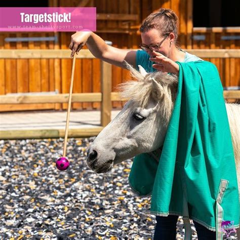 target stick 💓 na toll jetzt kann dein pferd einen
