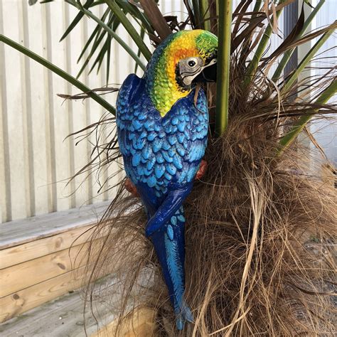 tags wintertuin papegaai ara blauwe papegaai tuin decoratie
