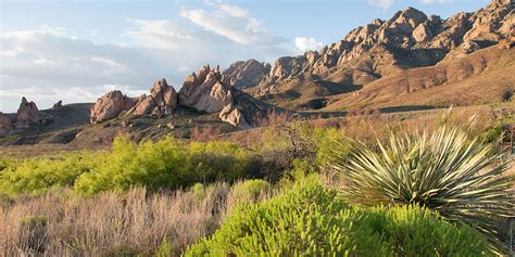 Things To Do In Las Cruces New Mexico Via