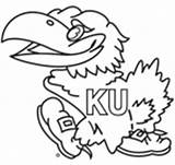 Jayhawk Coloring Pages Kansas University Jayhawks College Madness March Crafts Sketch Beloved State Marchmadness Basket School Prep Sketchite Stencil Templates sketch template