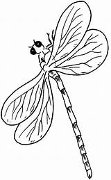 Libellule Dragonfly Kleurplaat Libellen Leukekleurplaten Kleurplaten Insecten Coloriages sketch template