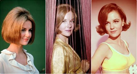 40 beautiful photos of shelley fabares in the 1960s