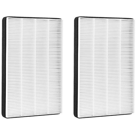Fette Filter 2 Premium Replacement True Hepa Filters Compatible With