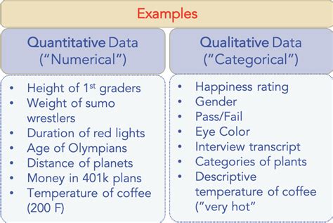 examples  quantitative  qualitative data min  market research