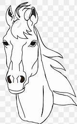 Horse Head Mask Coloring Drawing Book Peruvian Paso Standardbred Below Related sketch template