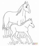 Coloring Horse Pages Foal Baby Printable Horses Animals Spirit Color Animal Supercoloring Foals Cute Miniature Movie Easy Fohlen Mit Pferde sketch template