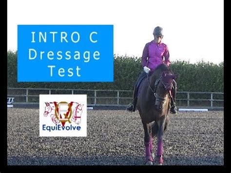 learn  intro  dressage test  youtube