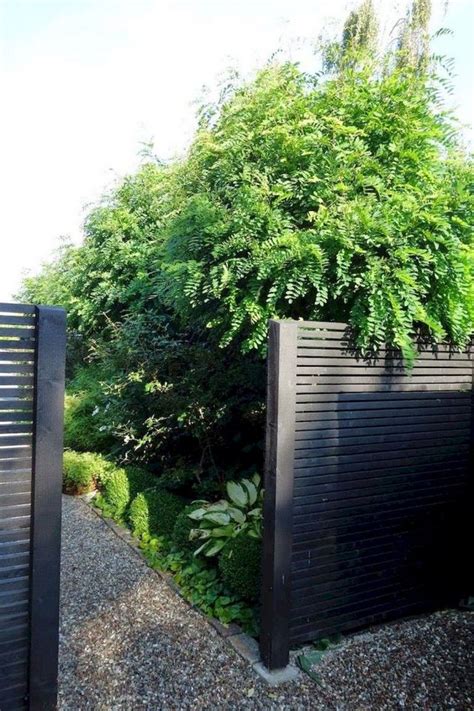 good wooden privacy fence patio backyard landscaping ideas privacy landscaping modern