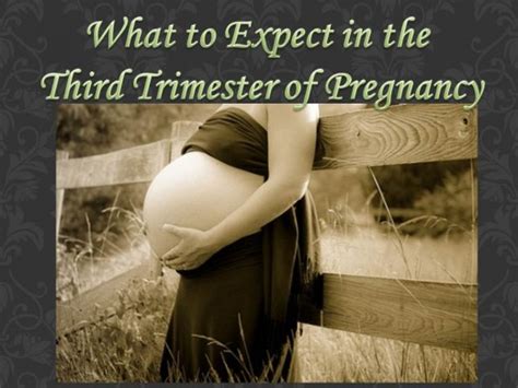 how to survive the third trimester the end of pregnancy hubpages