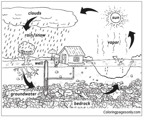 water cycle  coloring page  printable coloring pages