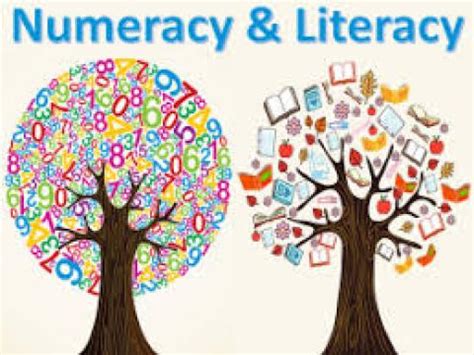 grade  graduation literacy  numeracy assessments mcnair secondary school