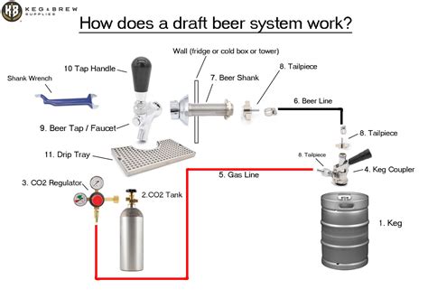 kegerator system work keg brew supplies