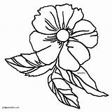 Rose Cherokee Coloring Georgia Clipart Pages Template sketch template