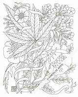 Coloring Pages Weed Marijuana Adult Adults Stoner Trippy Stencil Printable Leaf Jane Mary Pot Plant Books Mandala Clipart Drawing Hemp sketch template