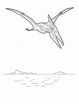 Pteranodon Colorkid sketch template