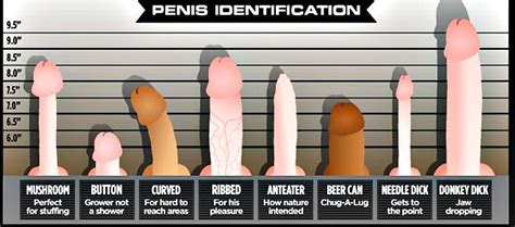 what does your penis look like please comment 7 bilder