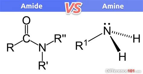 amide  amine  key differences similarities pros cons difference