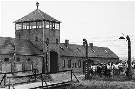 Were Gay Concentration Camp Prisoners Put Back In Prison After World