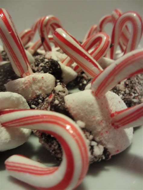 dying  chocolate candy cane chocolate covered marshmallows