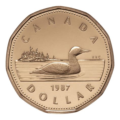 canadian  common loon dollar coin brilliant uncirculated
