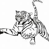 Tigre Tiger Coloring Pages Mandala Bengala Football Fresh 58kb 1024px 1024 Getcolorings Getdrawings sketch template