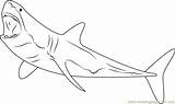 Shark Megalodon Coloring Great Printable Drawing Pages Colouring Color Print Drawings Sharks Fin Diving Line Attack Draw Getdrawings Clipart Pencil sketch template