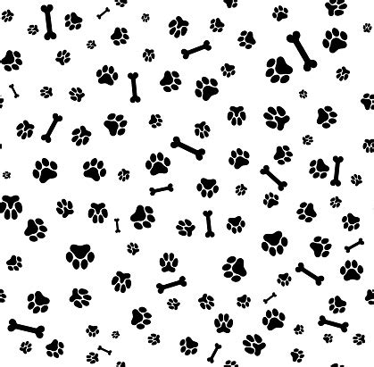 dog black paw print seamless template   design vector