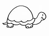Turtle Shell Pattern Draw Cliparts Clipart Computer Designs Use sketch template