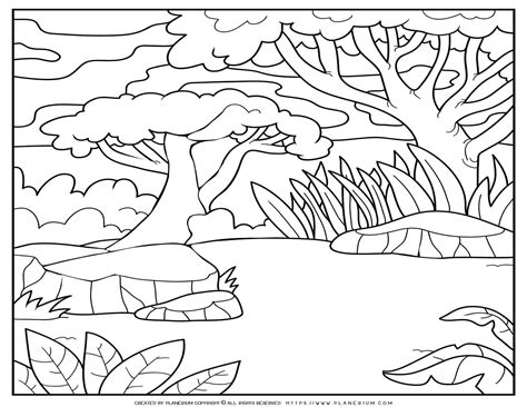 forest coloring page planerium
