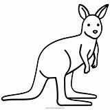 Kangaroo Coloring Wallaby Pages Color Easy sketch template
