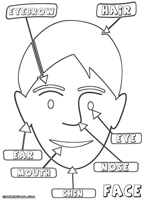 coloring pages face parts coloring pages coloring pages  print
