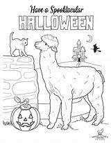 Coloring Alpaca Pages Comments Halloween sketch template