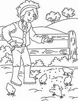 Coloring Farm Activity Feeding Chicks Pages Coloringsky Animals Kids Visit sketch template