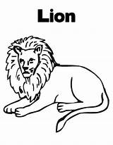 Lions Lew Cub Dzieci Kolorowanki Bestcoloringpagesforkids Getdrawings California Twistynoodle sketch template