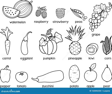 coloring page big set   fruits  vegetables vector