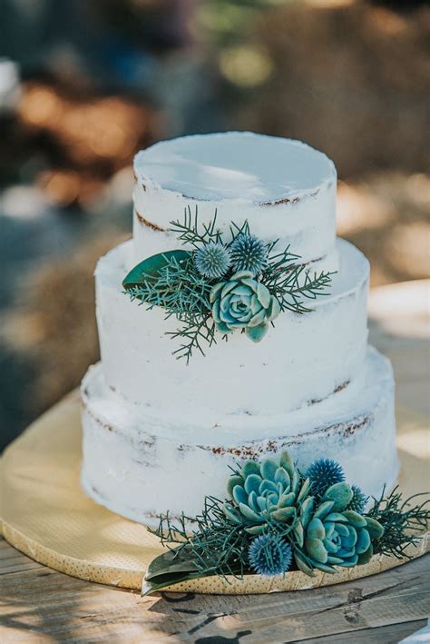 stunning succulent wedding cakes inspired  nature page