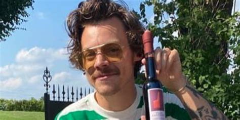 harry styles debuted a mario mustache