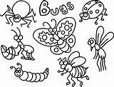 Insectes Colorant Insetti Insects Colorano Istruzione Messo Svegli Hanno Copi sketch template