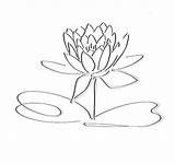 Lotus Drawing Getdrawings Flower Coloring sketch template