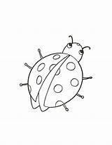 Coccinella Ladybug Biedronka Colorat Buburuze Joaninha Coccinelle Planse Animale Ladybird P20 Kolorowanka Miraculous Aventuras Lotu Primiiani Przygotowania Desene Mamydzieci Printables sketch template