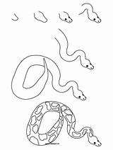 Python Ball Animals Rainforest Schlange Svg Getdrawings Sketches Outline Snakes Apprendre Instructions Did sketch template