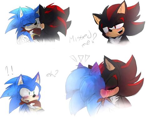 40 Best Sonadow Images On Pinterest Hedgehogs Hedgehog And Pygmy