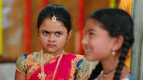 Paape Maa Jeevanajyothi Watch Episode 224 Mallika Gets Annoyed On