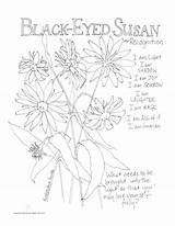 Eyed Susan Recognition sketch template