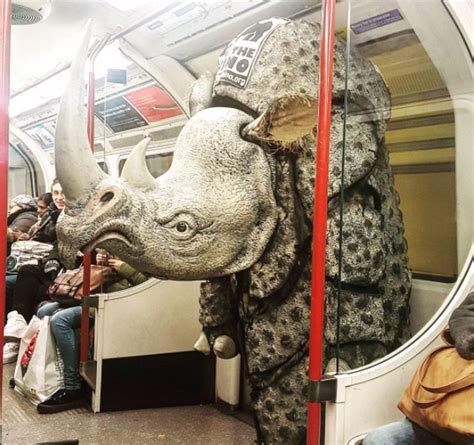 fotos de las cosas mas raras vistas en el metro