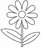 Pages Coloring Petals Flower Getcolorings Daisy sketch template