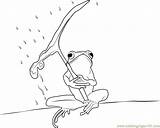 Frog Umbrella Coloring Under Coloringpages101 Pages sketch template
