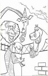 Madagascar Coloring Pages Printable Do Para Online Desenhos Colorir Birthday Drawings Marty Cartoons Color Kids sketch template