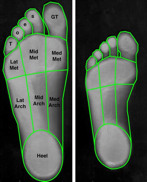 foot  explore tools  convert foot  centimeter   length units  learn